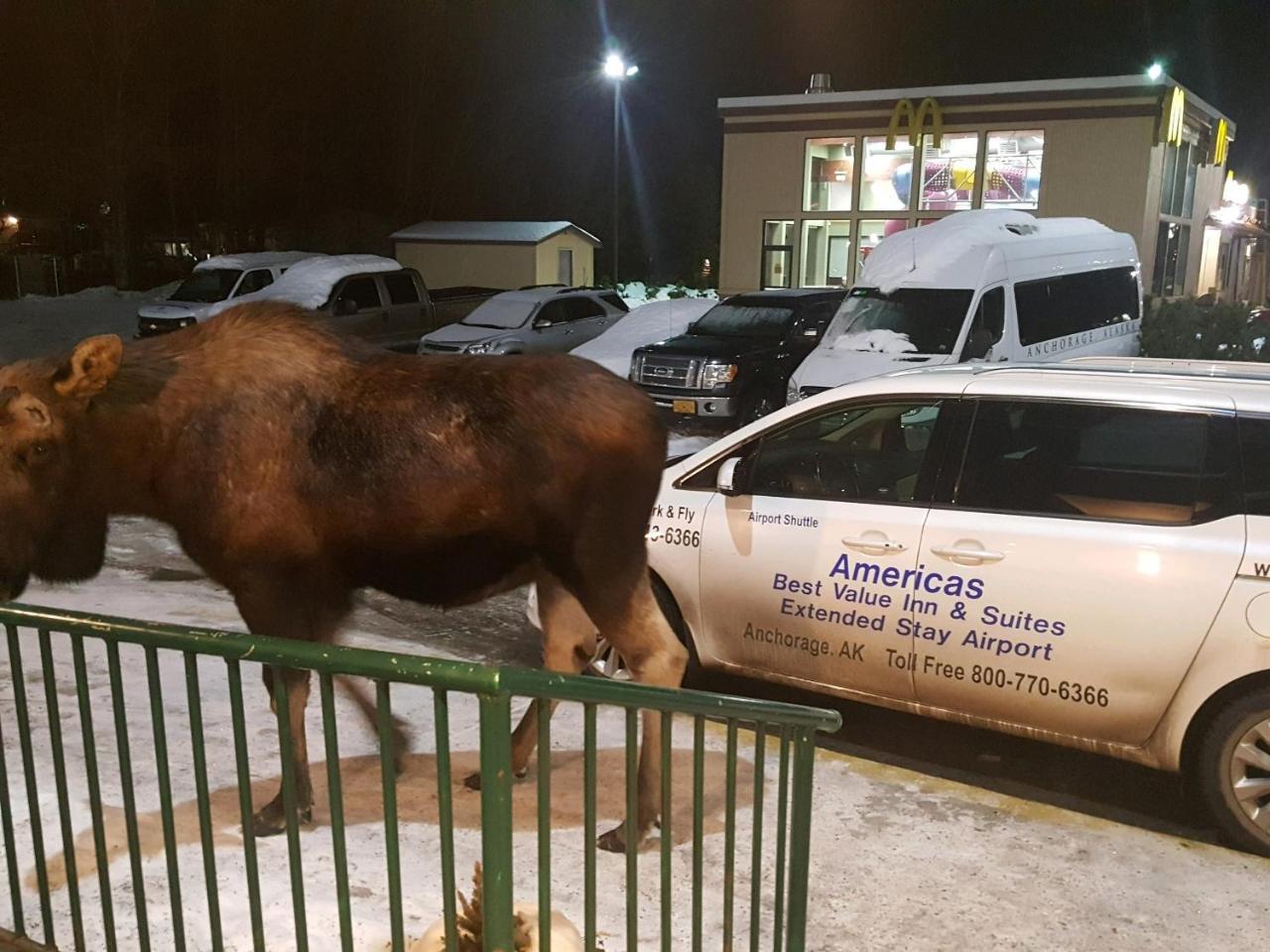 Americas Best Value Inn & Suites Anchorage Airport Zewnętrze zdjęcie